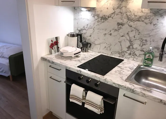 公寓 Obermais Garden Living 梅拉诺